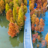 秋天真的变短了吗?数据说话!