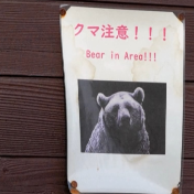 日本再发生熊伤人事件 3人受伤