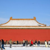 雪后初霁游故宫