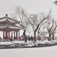 中式美学！雪后颐和园美成了水墨画