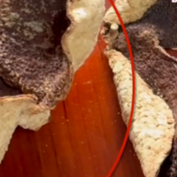 央视曝光“年份陈皮”售价千元成本仅70元,浦北通报:将根据调查结果依法处理