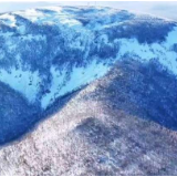 冰衣雪羽 诺敏山之巅雪凇连绵