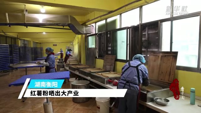 衡阳：红薯粉晒出大产业