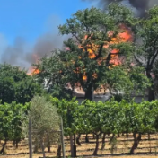 南非一酒庄发生火灾 百年历史建筑被烧毁