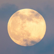 记得抬头看!2025年最后一次“超级月亮”即将登场