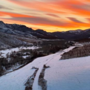 瞰中国｜内蒙古：林海鹿影