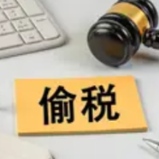 网络车评人陈震偷税被查 追缴并罚共计247.48万元