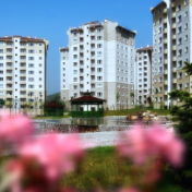 长沙出台新规明确八类收益归业主