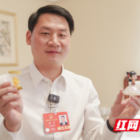 返湘首件事，这位全国人大代表为“湘潭造”打call
