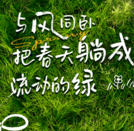 海报大片丨看！春天在三湘的田野里打了个滚