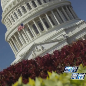 关税“回旋镖”已砸向美企和民众 特朗普仍说“美国不着急”