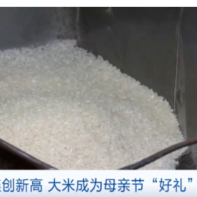 日本大米价格飙升，成母亲节“好礼”？发生了什么？