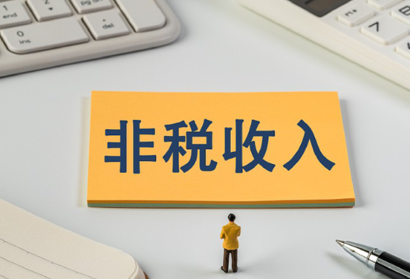 湖南拟修订非税收入管理条例}