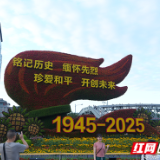 打卡新地标！纪念抗战胜利80周年主题花坛亮相长安街，成北京最美拍摄地