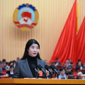 两会好声音丨何韵：以非洲市场增量 稳住湖南外贸基本盘