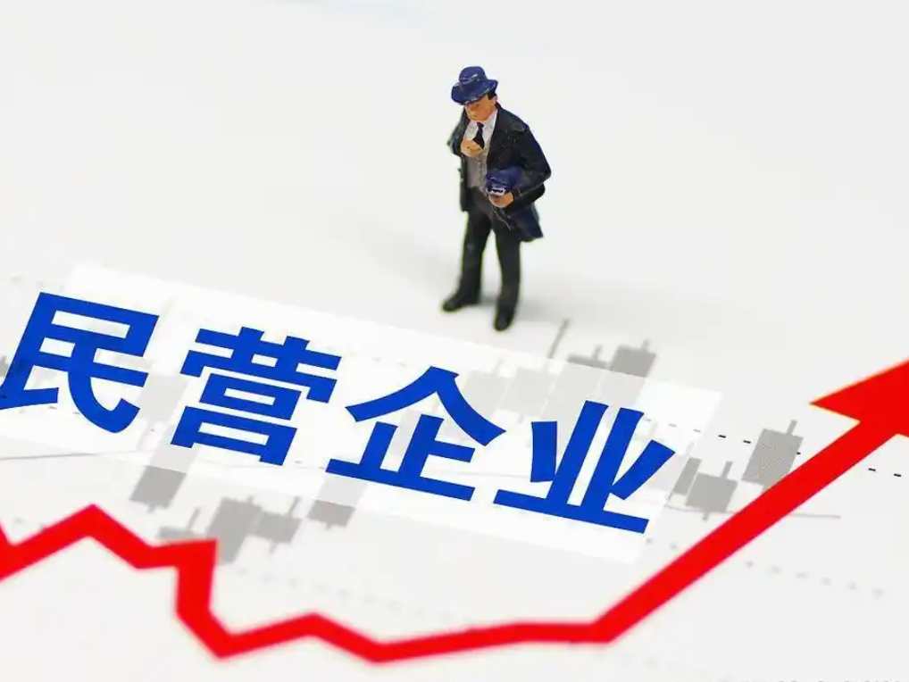 优秀民营企业家百人榜：藏着湖南重点产业链的生动实践