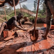 驻刚果（金）使馆严肃提醒不得参与非法采金！曾有5人被抓