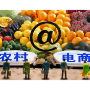 2025年农村网络零售额同比增长6.7%