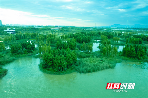 大泽湖6.jpg