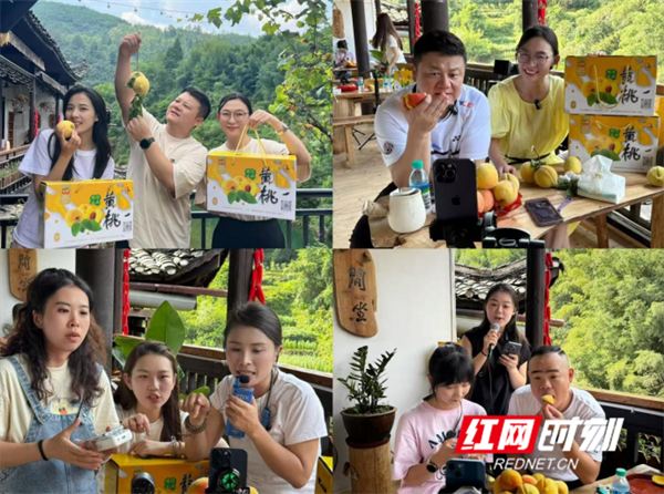 望城区新媒体达人助力洗车河黄桃带货。