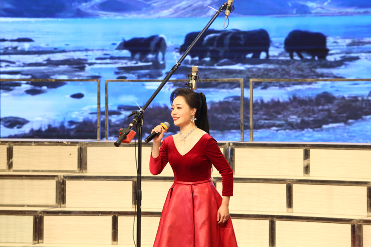 《帕米尔，我的家乡多么美》女声独唱.JPG
