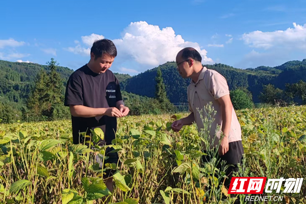 图片5.jpg 图片5.jpg