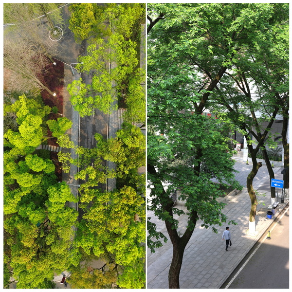 微信图片_20250409084251.jpg