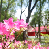立夏 | 立足当“夏”，志存高远