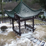 视频 | 终于等到你，党校初雪