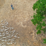 道县：农民返乡创业 养殖蛋鸭助增收