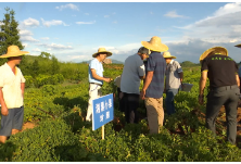 湘村变形记丨升级吧！蓝山小花生！