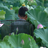 湘村变形记丨拼搏吧！蓝山采莲人！