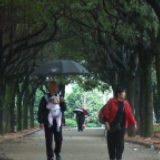 视频丨烟雨湘南丹桂香 小城漫步走