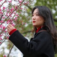 凌寒梅盛开 东安枝头暗香来 