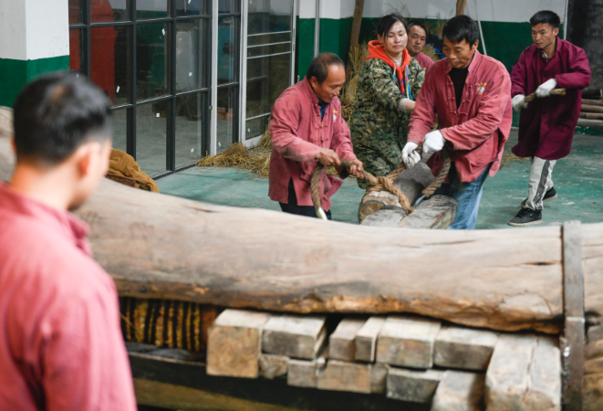 组图丨古法压榨茶油 飘香满道州