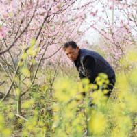 组图丨道县：雨水节气农耕忙