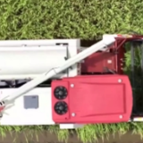 在希望的田野上·三夏时节 | 江西早稻迎来丰收 多地陆续开镰收割