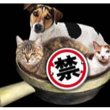 狗为伴侣动物拟禁食，还会是你盘中餐吗？
