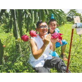 官员直播带货，莫忘带上责任