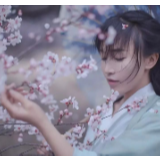 与袁隆平获同一身份，李子柒真的不配吗？