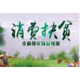 唱山歌卖山货，消费扶贫因何大受欢迎？