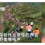 贵州山村异响，需要用科学来回应猜测