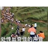 “龙吟”声为杜撰，“利益谣言”别太出格