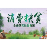 消费扶贫“给鱼不如给渔”