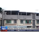 天降铁球砸死女婴，“整楼补偿”涉嫌正义在让步