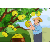 漫话丰收节｜大丰年“拍了拍”小康年