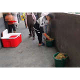 营养餐倒入垃圾桶，校园餐饮规划合不合理？ 
