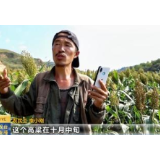 农民工千里赴诗约：心有热爱拿着砖头也会发光