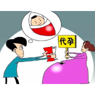 代孕，一场将人格物化到极致的交易