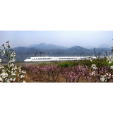 乘车误点，文明不能跟着“误点”